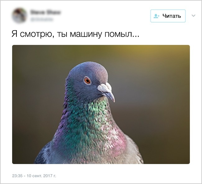 "Осень - не время грустить..." Порция улыбок на выходные. )))