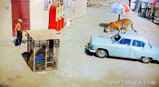 Полосатый рейс, фильм