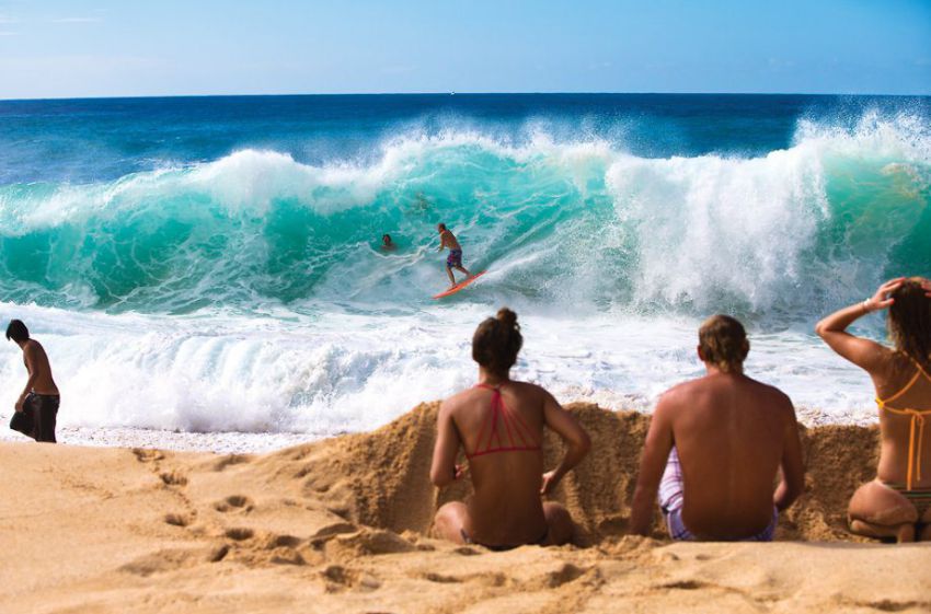 природа, позитив, фото