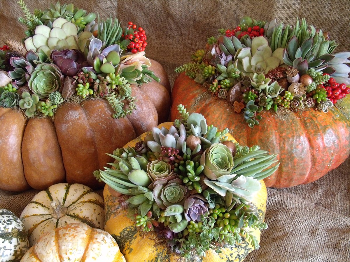 Осенняя композиция из овощей