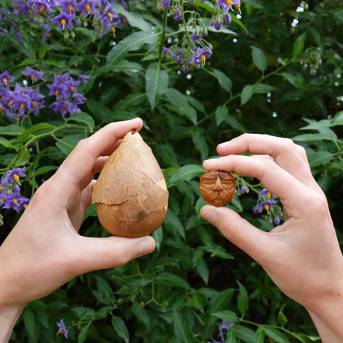 Avocado Stone Face