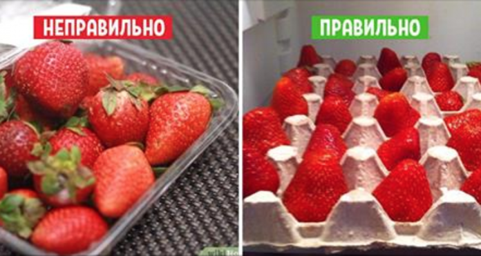 Так делают в элитных ресторанах: 11 хитростей, которые сохранят фрукты свежими надолго!