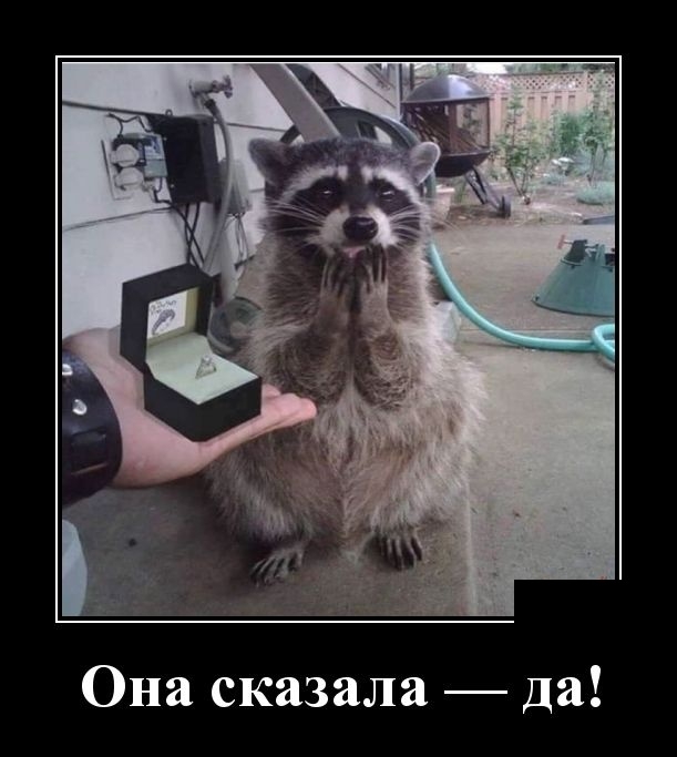 Демотиваторы Демотиваторы