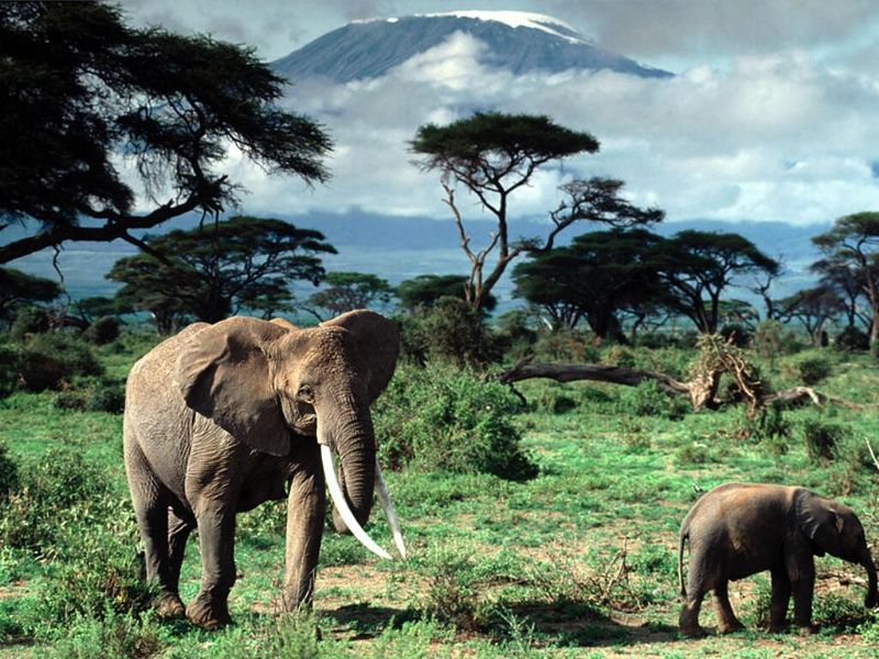 Достопримечательности Танзании tanzania01 Достопримечательности Танзании