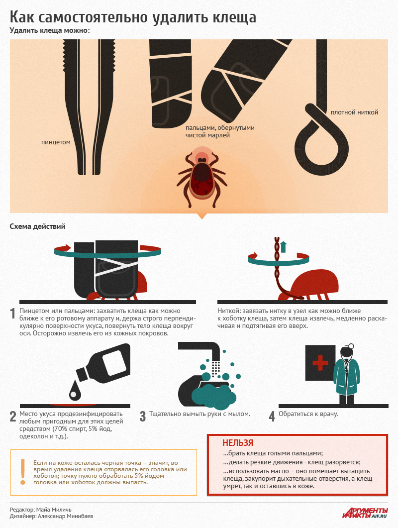 Как правильно удалить клеща