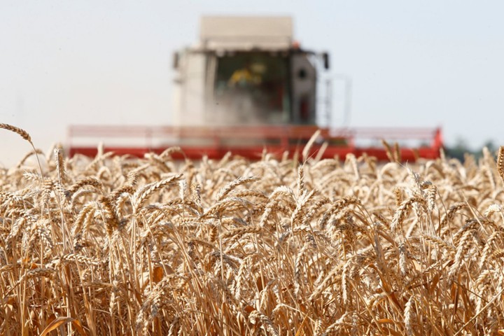 WSJ: Россия вытесняет американских фермеров с мировых рынков пшеницы