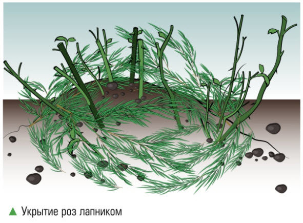 Ð�Ñ�Ð� Ð¸Ð½ÑÑ�Ñ�ÑƒÐºÑ�Ð¸Ñ Ð¿Ð¾Ð´Ñ�Ð¾Ð´Ð¸Ñ� Ð¸ Ð´Ð�Ñ Ñ�Ñ�Ð¸Ð�Ð�Ð½Ñ�Ð�Ð¼! ÐŸÑ�Ð¸Ð½Ñ�Ð¸Ð¿ Ð¾Ð´Ð¸Ð½Ð�ÐºÐ¾Ð²