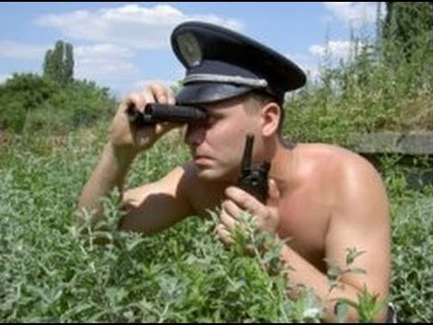 Сколько я, по вашему, стою? Сколько я, по вашему, стою?