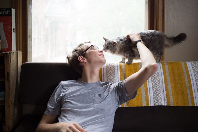 животные, отношения, люди, приют