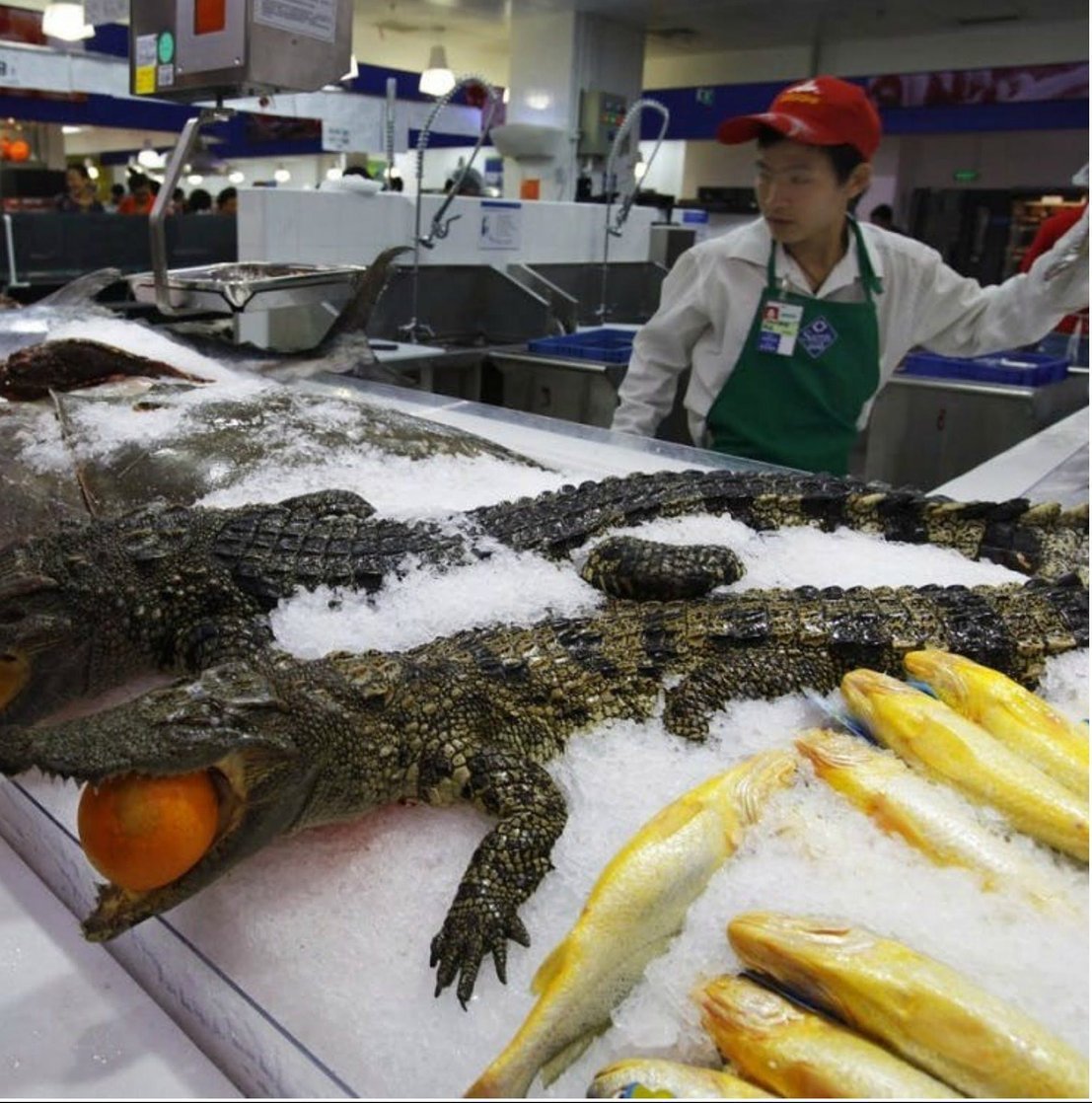 10 странных вещей, которые можно найти на прилавках в китайских магазинах