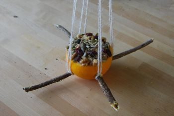 Кормушки для птиц, которые можно сделать своими руками Кормушки для птиц, которые можно сделать своими руками
