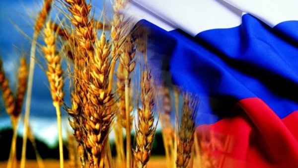 Die Welt: Запад в шоке от роста российской экономики