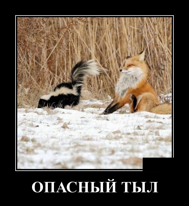 Демотиваторы Демотиваторы