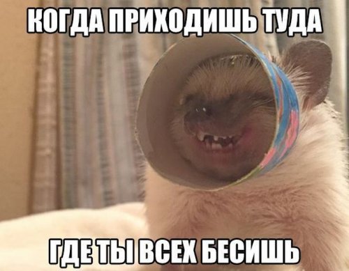 Прикольные картинки для всех (47 шт) Прикольные картинки для всех (47 шт)