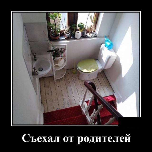 Демотиваторы Демотиваторы