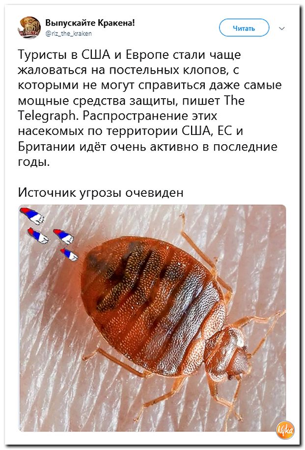 Обо всем понемногу с юмором и ехидными комментариями Обо всем понемногу с юмором и ехидными комментариями