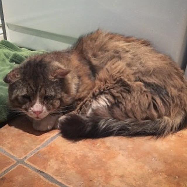 Взгляд, который разбил сердце девушке Взгляд, который разбил сердце девушке