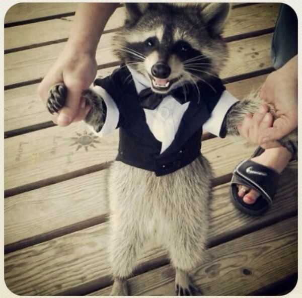 добро, позитив, в мире, дюди