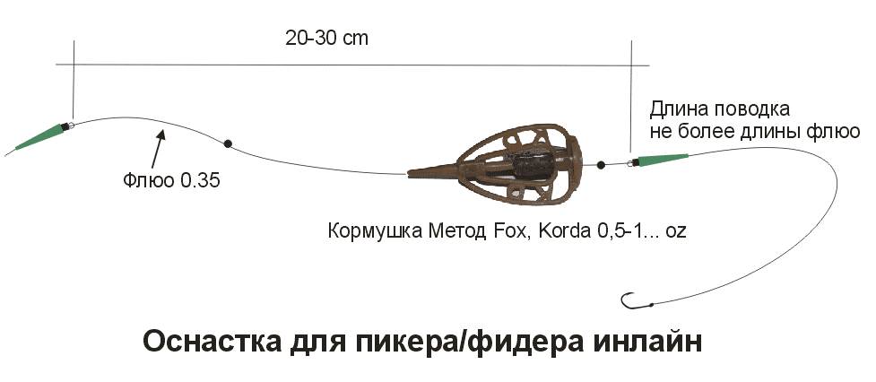 основы ловли карпа на фидер основы ловли карпа на фидер