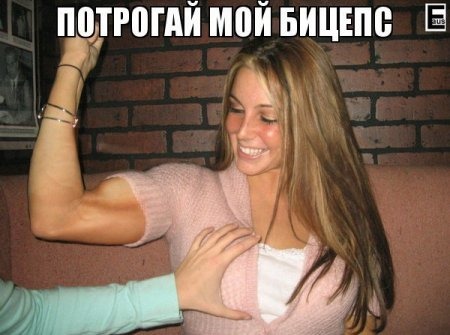 Похожее изображение