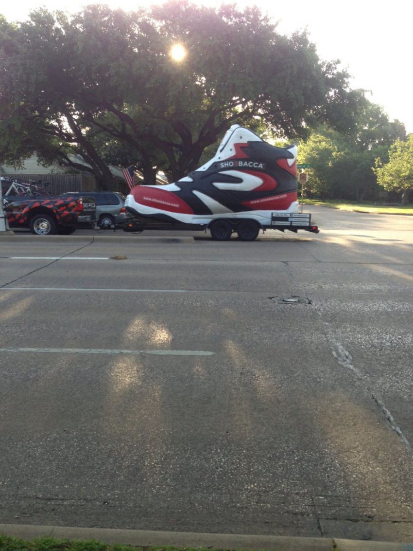 природа, позитив, фото