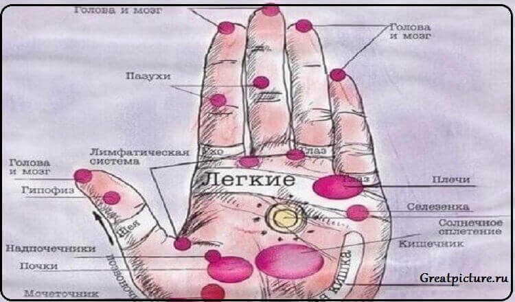 Болезни человека — на его руках. Будь внимателен — меньше будешь болеть!