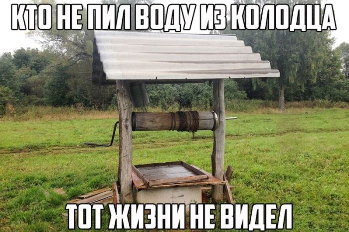 Cмешные картинки с надписями (20 картинок) Cмешные картинки с надписями (20 картинок)