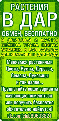 для комнатных растений, домашние растения, домашние цветы, комнатное растение, комнатные растение, комнатные растения и цветы, комнатные цветы и растения, комнатные цветы уход, комнатный цветок, луковицы, Обмен растениями, обмен семенами, отдам цветы в дар, поменяться цветами, приму в дар цветы, растения в дар, растения для офиса, саженцы, саженцы бесплатно, семена бесплатно, семена в дар. комнатных растений, цветы бесплатно, цветы в горшках, цветы в дар бесплатно, цветы в доме, цветы для дома, цветы домашние