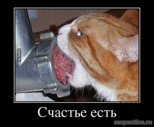 наглое счастье