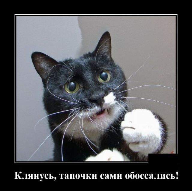 Демотиваторы Демотиваторы
