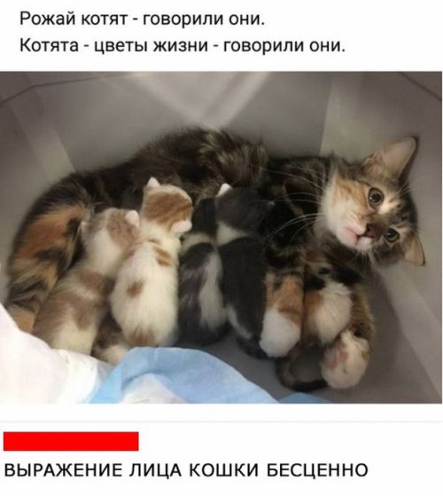 Забавные картинки (30 фото) Забавные картинки (30 фото)