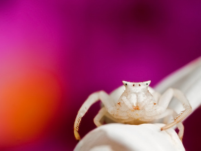 ��������������� John Cogan