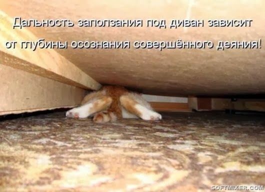 2d0c4abdd5610a2aff8b8abbb48_prev