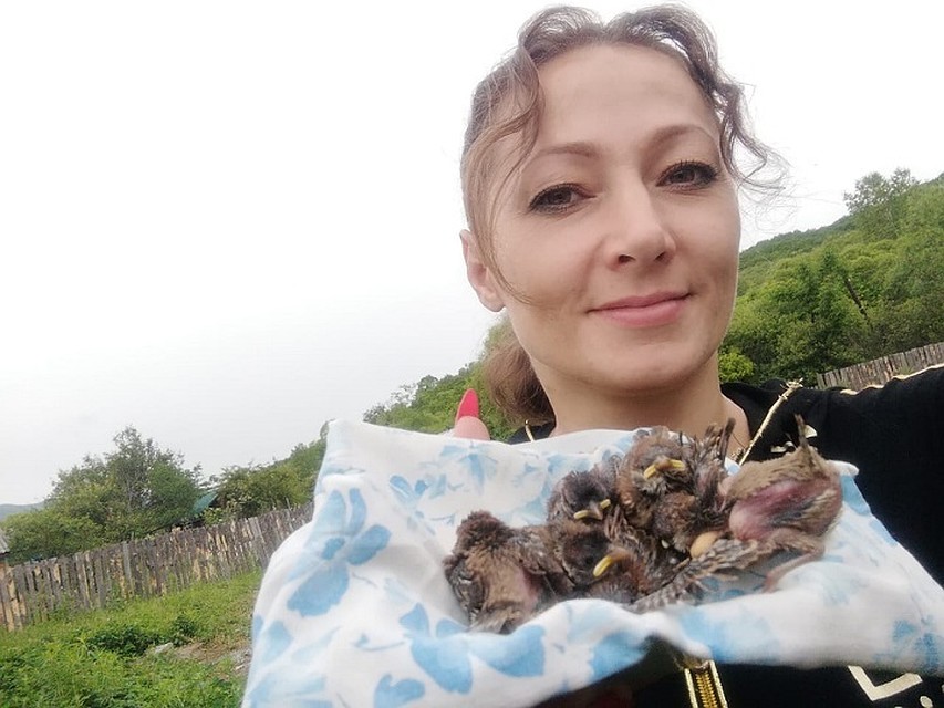 «Птенчики – как младенцы», - делится жительница Приморья. Фото: личный архив Екатерины Беляевой