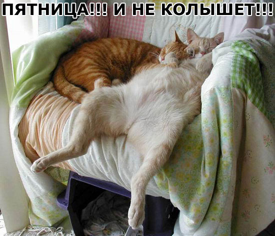 Прикольные картинки (30 фото) Прикольные картинки (30 фото)