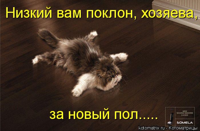 Мысли вслух :)