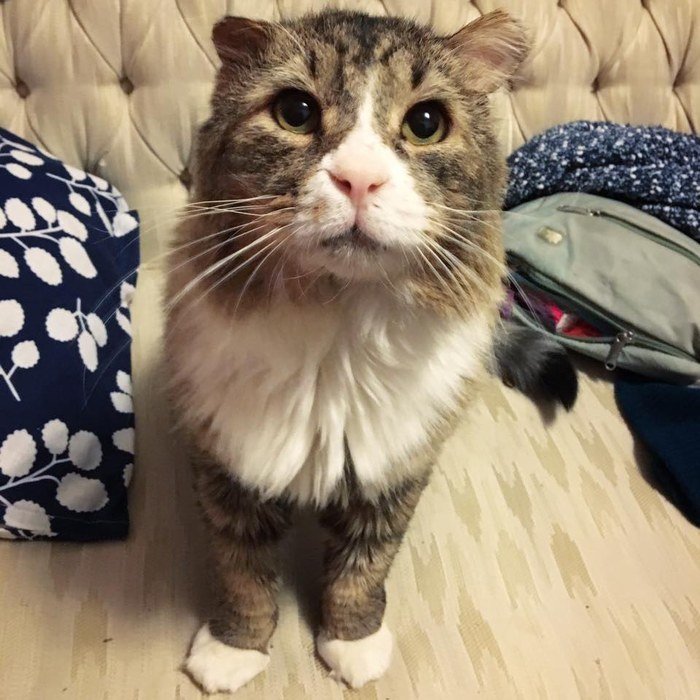 Взгляд, который разбил сердце девушке Взгляд, который разбил сердце девушке