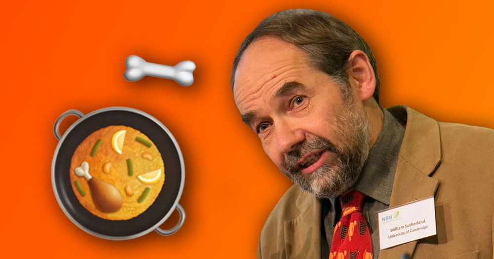 Ученый приготовил 4 блюда из древнего Вавилона и рассказал об ощущениях