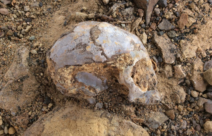 in ground