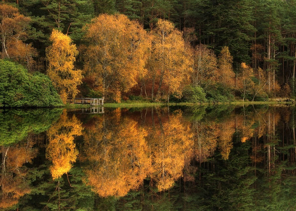 Фото Роджера Меррифилда Фото Роджера Меррифилда