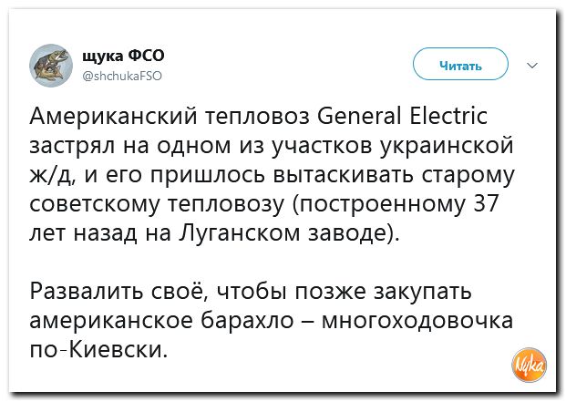 Обзор ситуации в мире с сарказмом и ехидной улыбкой Обзор ситуации в мире с сарказмом и ехидной улыбкой