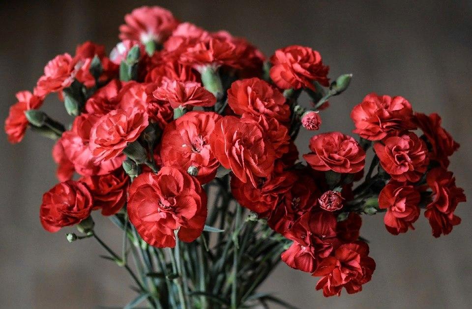 Песни о войне прозвучат в Северном
