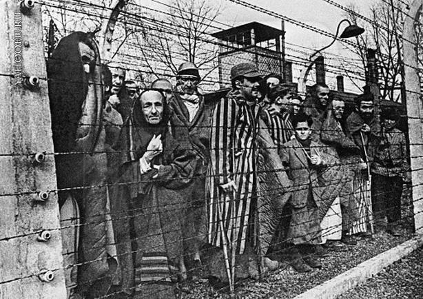 Поляки жжгут - заперли еврея в Освенциме курьёз, освенцим, польша