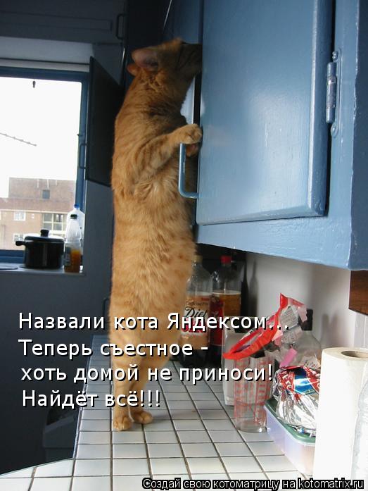 Пятничная котоматрица!