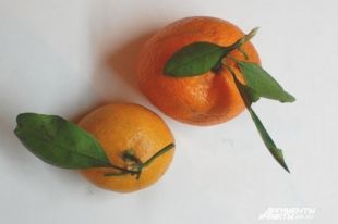 Переносят ли мандарины грипп?