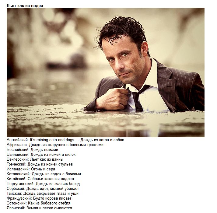 Одинаковые пословицы в разных странах (5 фото)