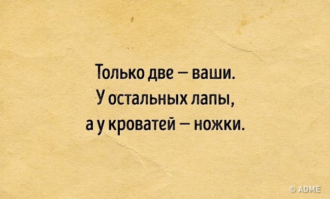 9 детских загадок, которые ставят взрослых в тупик 9 детских загадок, которые ставят взрослых в тупик