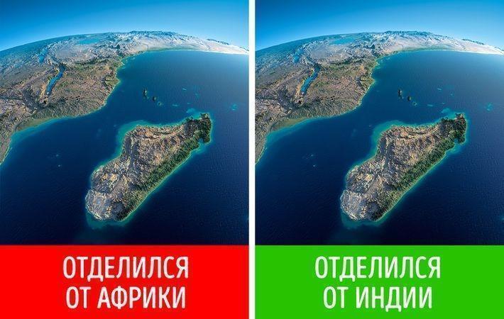 14 фактов в пользу того, что Мадагаскар — это отдельная вселенная 14 фактов в пользу того, что Мадагаскар — это отдельная вселенная