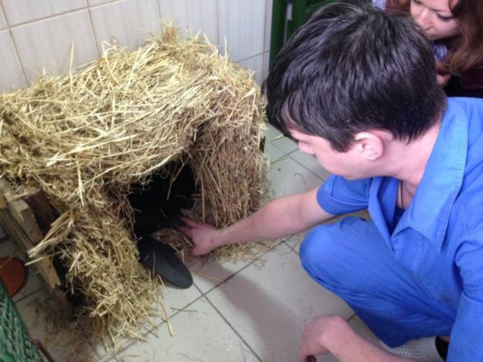 Житель Харькова спас бобра, выкупив его у браконьеров