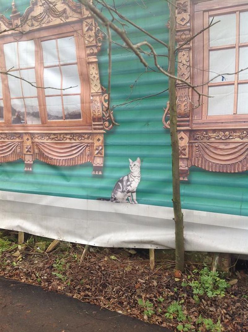 ремонт, Суздаль, президент, власть